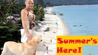 Early High Season in Lamai, Koh Samui - Dog Walk