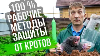 Как избавиться от крота на участке? Отпугиватель кротов своими руками. Как вывести крота с огорода?