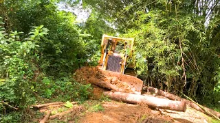 The D6R XL bulldozer operator worked perfectly in the construction of the Plantation
