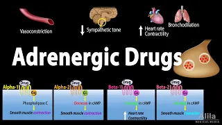 Adrenergic Drugs - Pharmacology, Animation