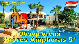 Отдых в Египте  обзор отеля SHORES AMPHORAS (OTIUM FAMILY AMPHORAS 5*) Шарм Эль Шейх