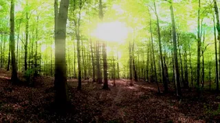 ARKADIUSZ SALWOWSKI — The Endless Road (360° Music Video)