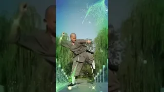 Martial arts Shaolin part4 #chinesekungfu #backflip #Shaolin #funnyvideo #Muaythai #WingChun #kungfu