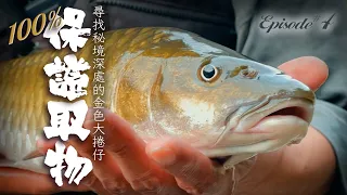 Master's Paradise: The Stream Samurai with Golden Armor |Lure Fishing|Wilderness Coffee|Spinibarbus