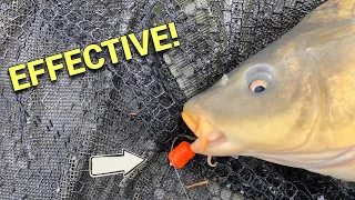 How to Catch CARP Using WAFTERS: Effective and Underrated!