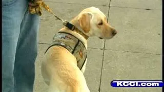 Student Turned Away From Class Because Of Service Dog