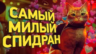 Как пройти Stray быстрее всех | Разбор спидрана