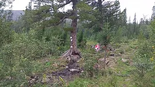 Поляна Художников, перед подъемом на г. Конжаковский камень.