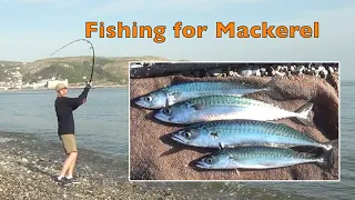 Feathering for Mackerel - Shore fishing beach casting for mackerel in the UK Sea Fishing