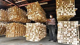 The Art of Harvesting & Processing Silk Cocoons in Japan, Raising Millions of Silkworms for Silk