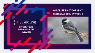 LUMIX Live : Wildlife Photography with Shiv Verma