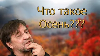 ДДТ-ЧТО ТАКОЕ ОСЕНЬ РАЗБОР НА ГИТАРЕ ,КАК ИГРАТЬ?(ДВОРОВАЯ ПЕСНЯ)АККОРДЫ,БОЙ .ЧТО СЫГРАТЬ?