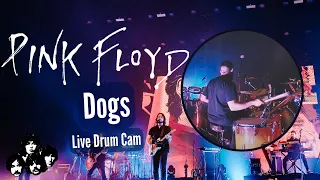 Pink Floyd - Dogs | [Drum Cam] | Pevas Costa