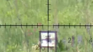 Horhe Jager 5.5 100-50 meters