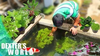 A TOUR TO THE PLANTATION OF AQUATIC PLANTS!