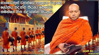 තමන්ගේ හිත හදාගන්න.2074Ven Hasalaka Seelawimala Thero