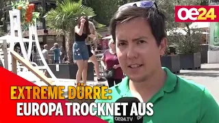 Extreme Dürre: Europa trocknet aus