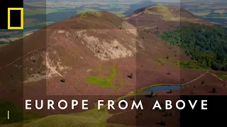 Scotland's Spectacular Heather Bloom| Europe From Above | National Geographic UK