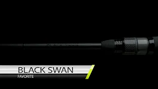 Black Swan - Details