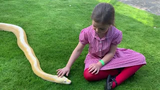 Best friends with 16ft Reticulated Python