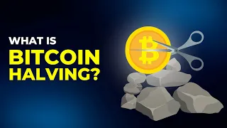 What is Bitcoin Halving (Animated) & What Happens when Bitcoin reaches the 21 Million Limit?