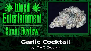 Garlic Cocktail - by THC Design - Strain Review - May 2023