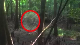 Lizard Man caught on video in Charleston SC - Monster Info 1-3