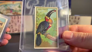 REA Mailday and Strongsville Show Recap