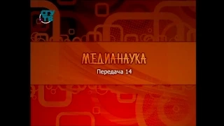 Передача 14. О трансгенных животных и продуктах