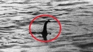 Loch Ness Monster Dead? Experts Believe So