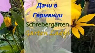 Дачи в Германии || Обзор Schrebergarten || Garten Ladys