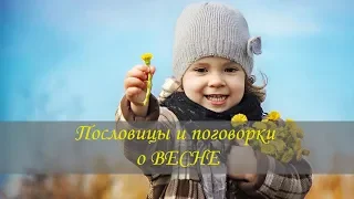 Пословицы и поговорки про ВЕСНУ для детей