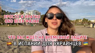 Что вас ждёт на временной защите в Испании для украинцев? Фазы программы для беженцев 🇺🇦 Выплаты