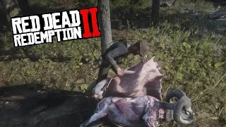 Охота c луком на легендарного большерогого барана в Red Dead Redemption 2