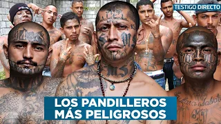 Los Líderes Pandilleros Más Peligrosos De El Salvador Tienen Miedo De La Justicia - Testigo Directo