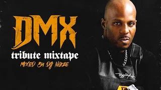 D M X Tribute Mix