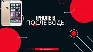 iphone 6 не включается после попадания воды