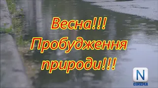 Весна! Пробудження природи!