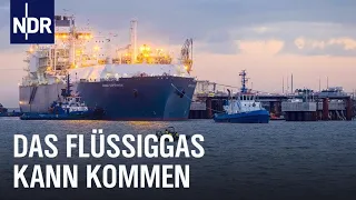 Wilhelmshaven: Vollgas fürs LNG-Terminal | Die Nordreportage | NDR Doku