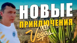 Сисун на пути к новым приключениям 🔥 Las Vegas