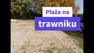 Aeracja trawnika i piaskowanie jesienią walcem z kolcami.