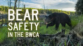 Bear Safety in the Boundary Waters