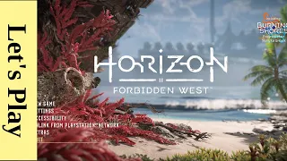 Horizon Forbidden West | Part 4