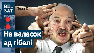Беларусы парвуць Лукашэнку, калі ён выйдзе ў людзі / План: Б
