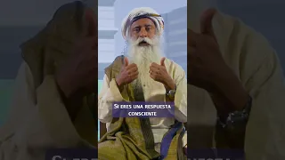 No te envenenes con la ira | Sadhguru Español