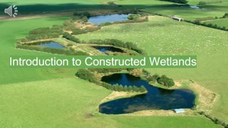 Constructed Wetlands