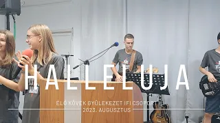 Halleluja halleluja