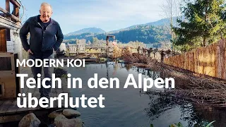 Ein Bergbach überflutet Stefans Koiteich | Modern Koi Blog #6439