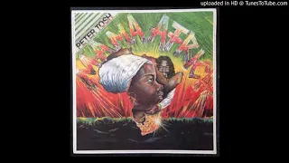 Peter Tosh - Johnny B. Goode (extended version)