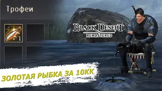 10КК ЗА 30 МИНУТ в БДО ПОЙМАЛ ЗОЛОТУЮ РЫБКУ ЗИМНЯЯ РЫБАЛКА Black Desert Online BDO